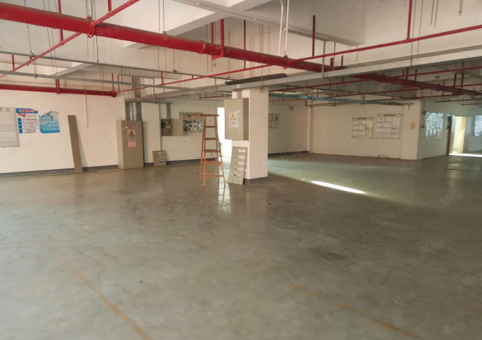 200平起分）大亚湾西区标准二楼厂房4800平带红本电力充足
