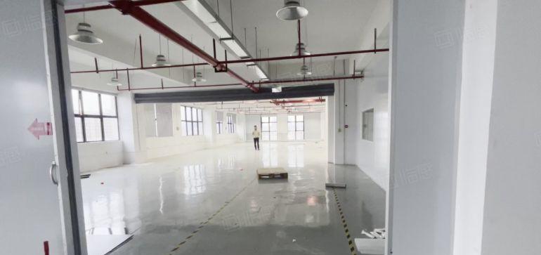 大亚湾临深，免租期3个月，带装修办公室，主线到位厂房仓库出租