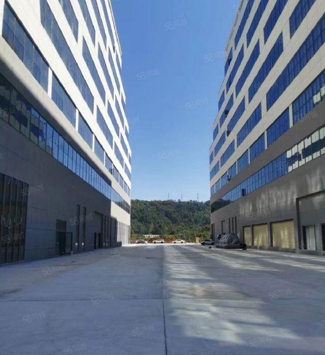 大亚湾西区全新独栋2万平方厂房仓库出租，水电齐全精装交付