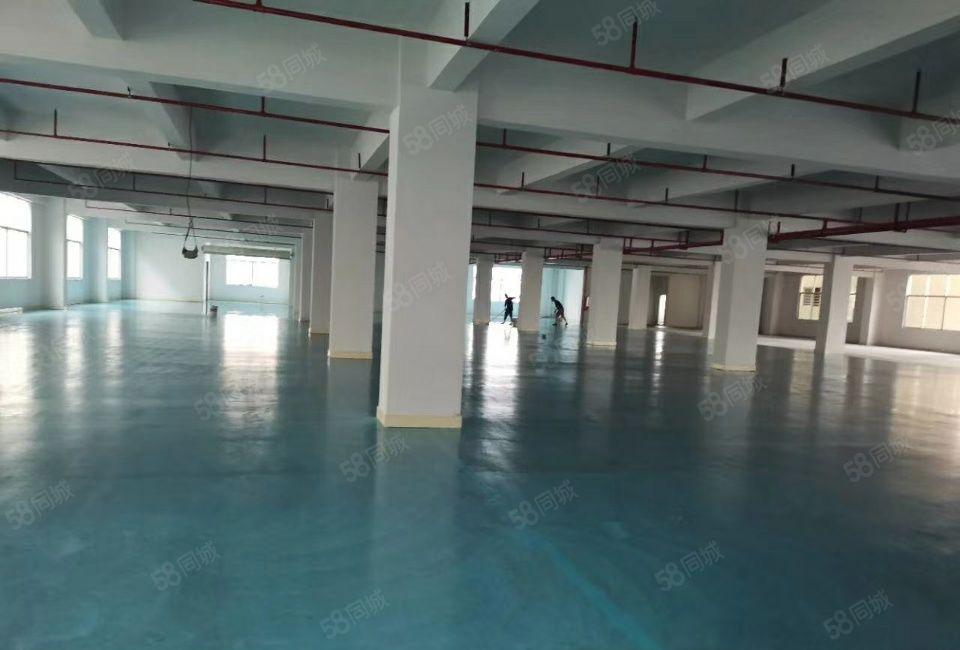 惠州市大亚湾开发区新空出标准厂房10400平米无尘车间招租