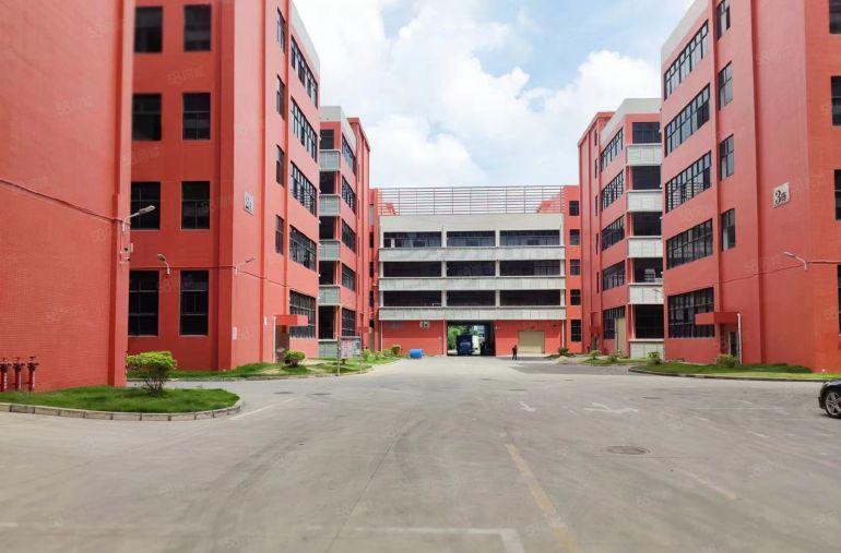 7块大亚湾西区楼上5楼厂房仓库1000起租