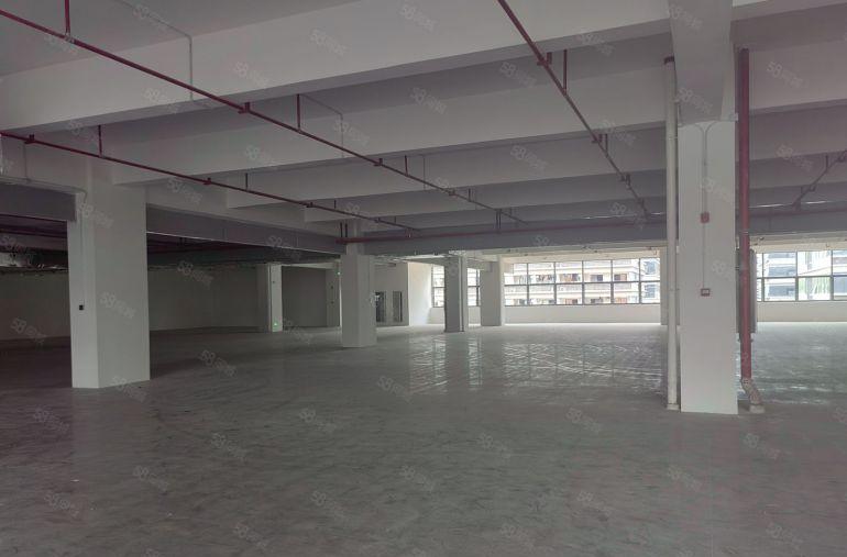 临深地段全新园区一层面积2500平，行业不限制