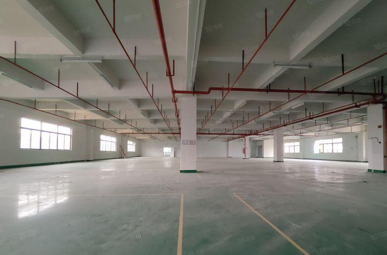 大亚湾龙光城原房东12000平方红本厂房仓库出租可分租