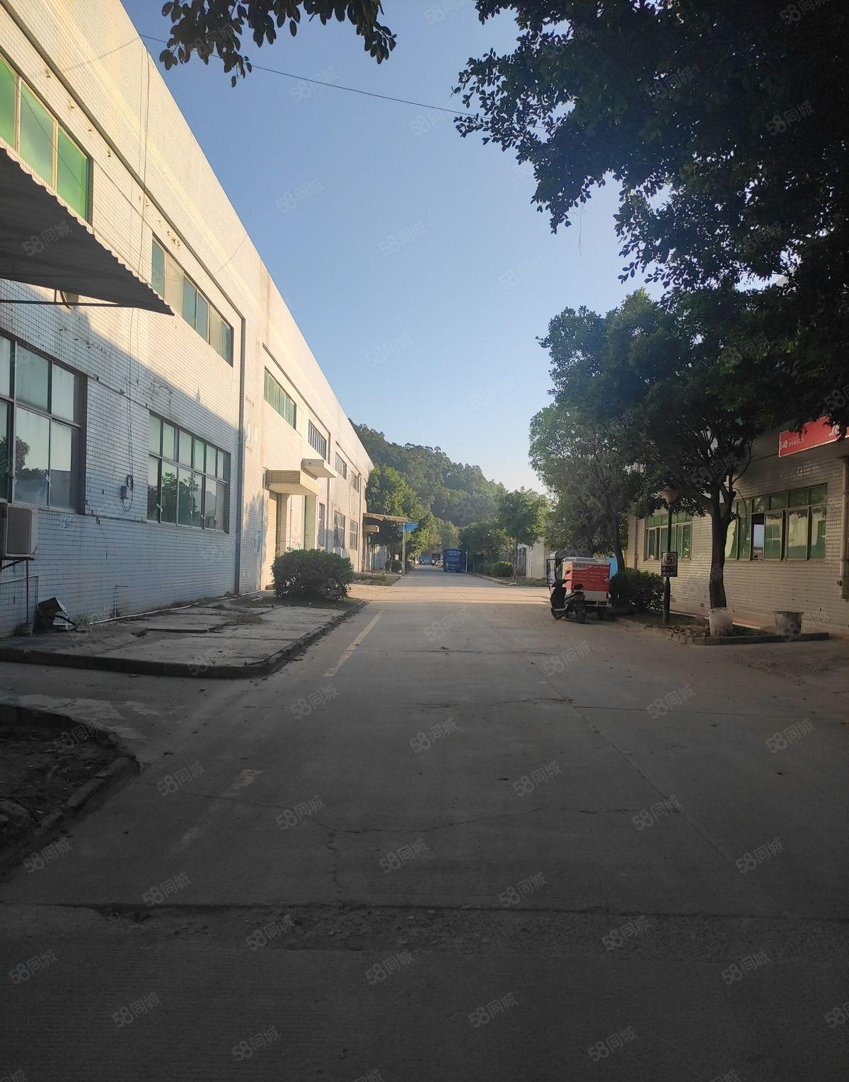 年底促销出租，按实际面积出租，可进出大车，证件齐全。