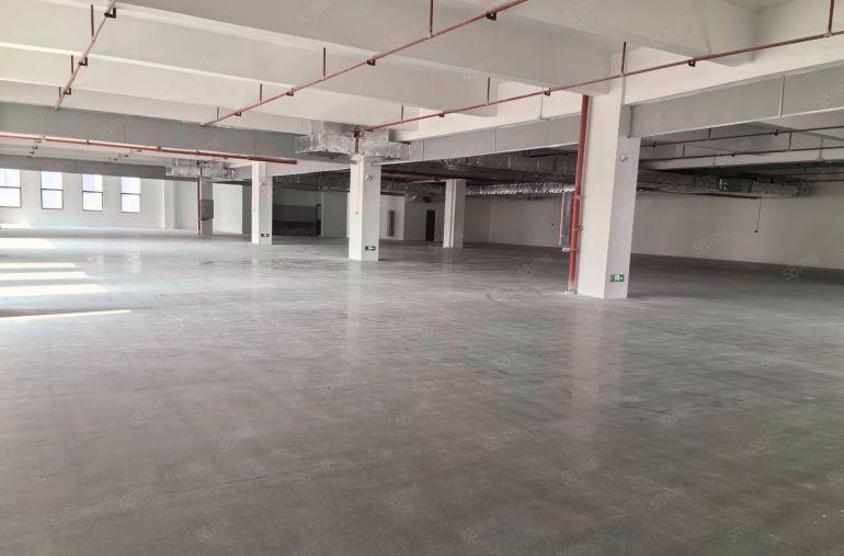 龙光城附近原房东一二楼各2000平全新厂房低价出租