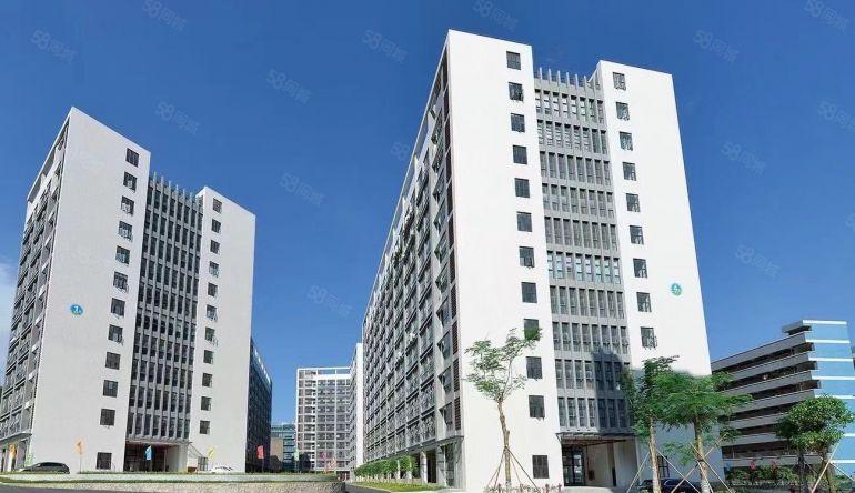 大亚湾西区原房东一楼3000平仓库厂房出租高7米200起分租