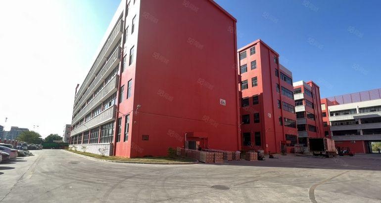 临深大亚湾西区新出一楼3000平带牛角厂房出租高度7米可分租