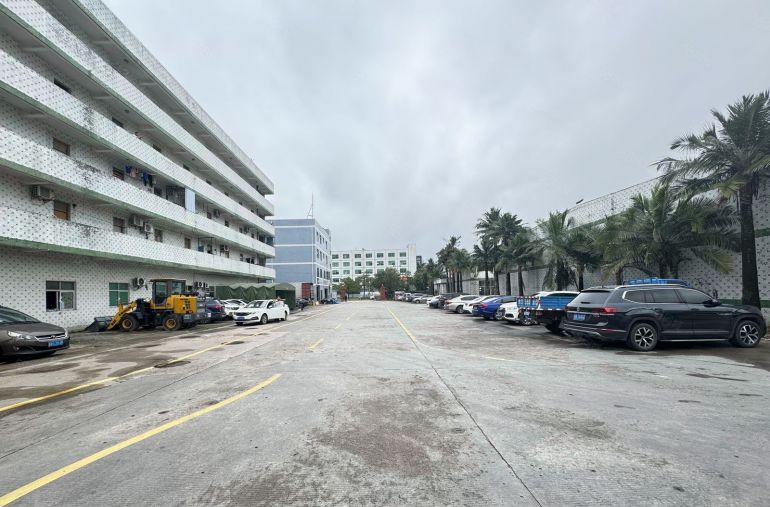 16块大亚湾龙海二路滴水8米3000平方钢构厂房实际面积出租