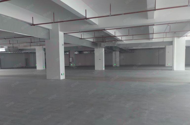 临深地段全新园区一层面积2500平，行业不限制