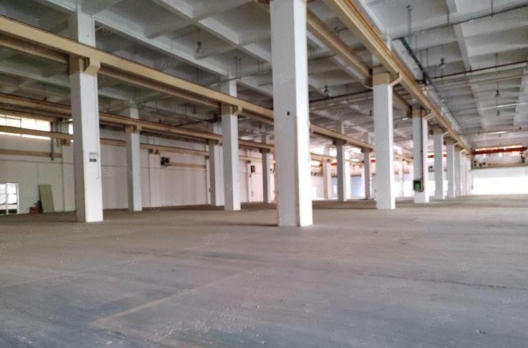 大亚湾西区1楼高度9.5米，厂房出租，11800平米可分租