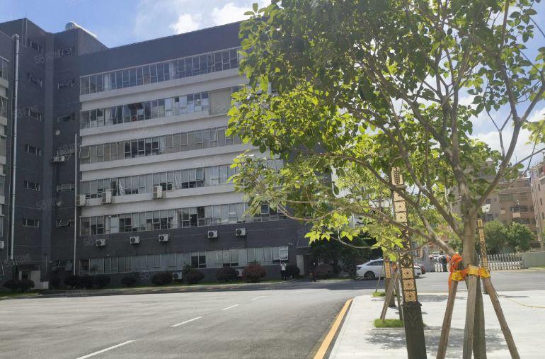 大亚湾比亚迪边楼上新出1000平精装修办公室厂房出租