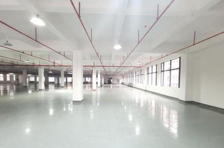 惠州特价10元现成装修 临深万达商圈 生活方便 响水河工业园