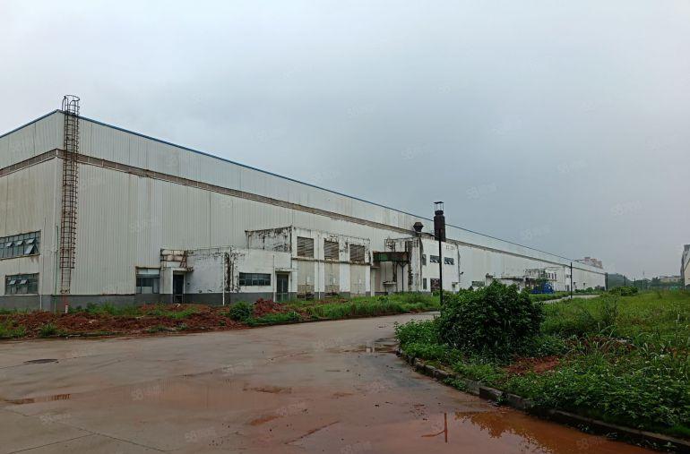 惠州市大亚湾单一层钢结构厂房出租，层高13米，有行车