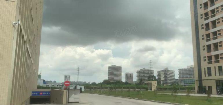 大亚湾5~50000平花园式工业园低价仓库厂房出租大小分租