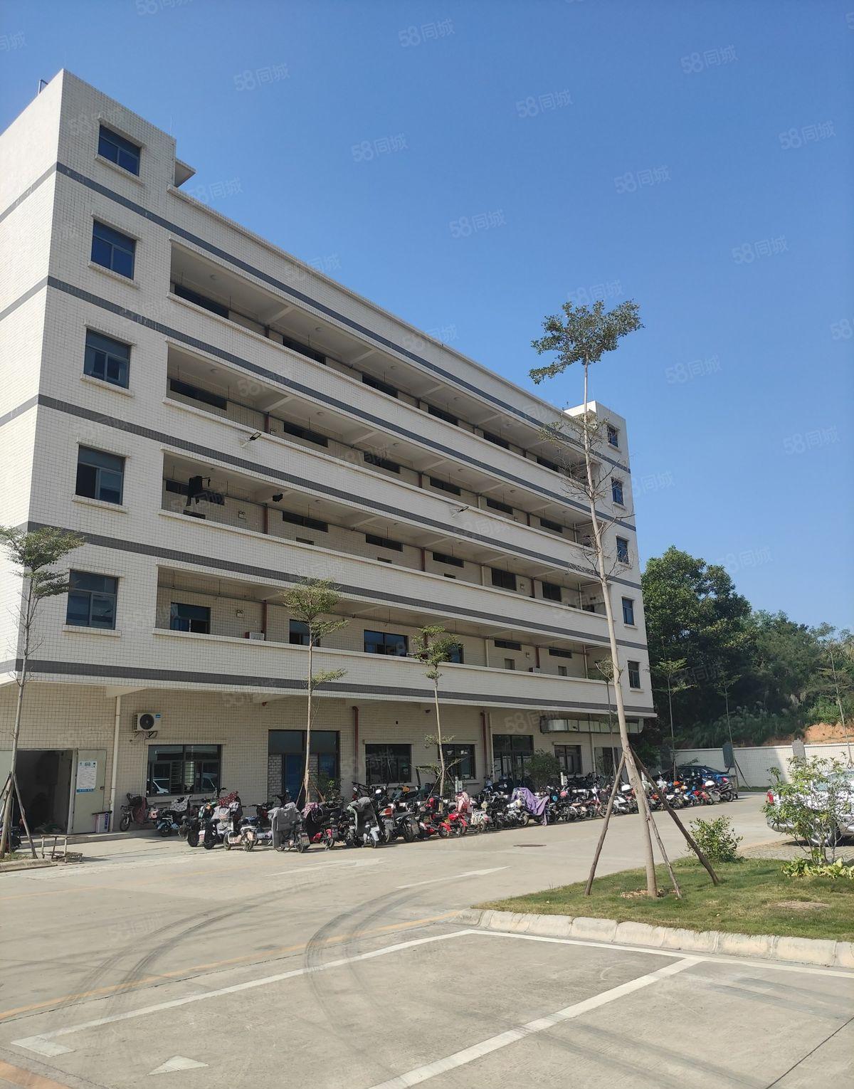 临深厂房，原房东，租金便宜，不限行业，证件齐全。