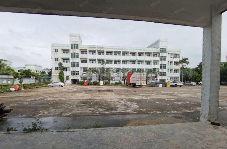 急急急，大亚湾，一手业主出租9.9