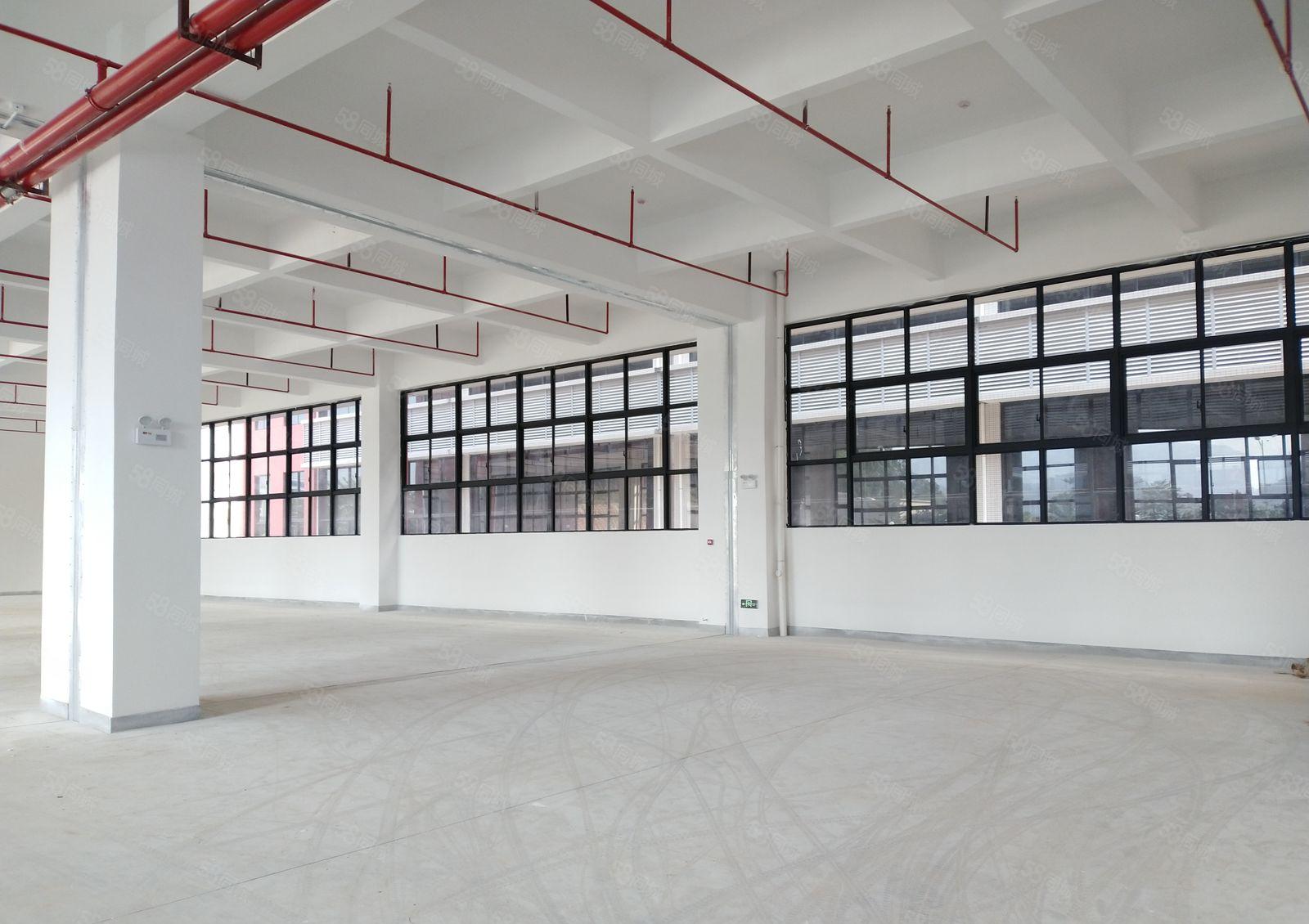 龙山四路厂房出租10元平起租