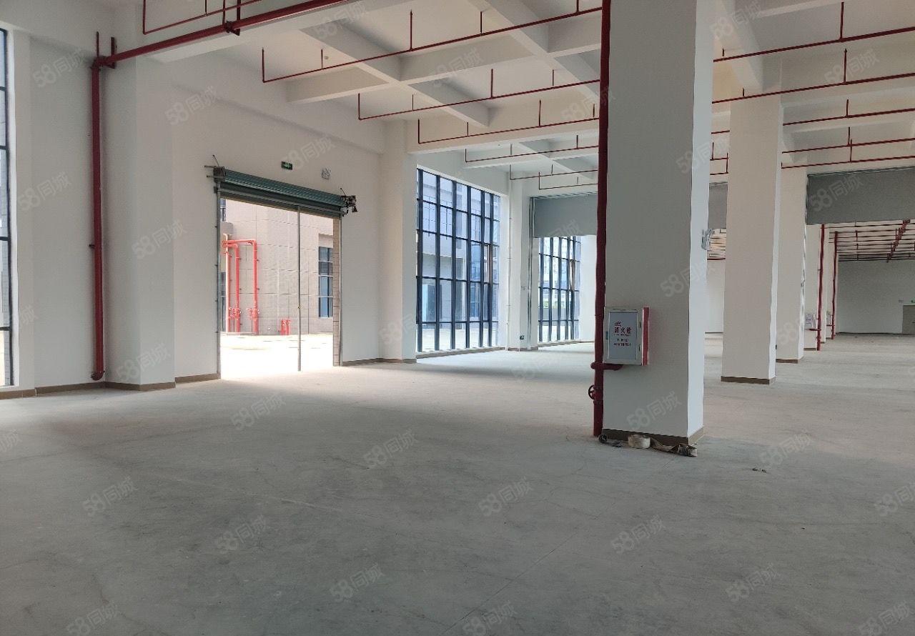 500平起分超大空地免费用大亚湾红本标准厂房30000平