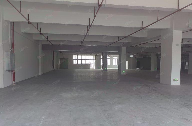 临深地段全新园区一层面积2500平，行业不限制