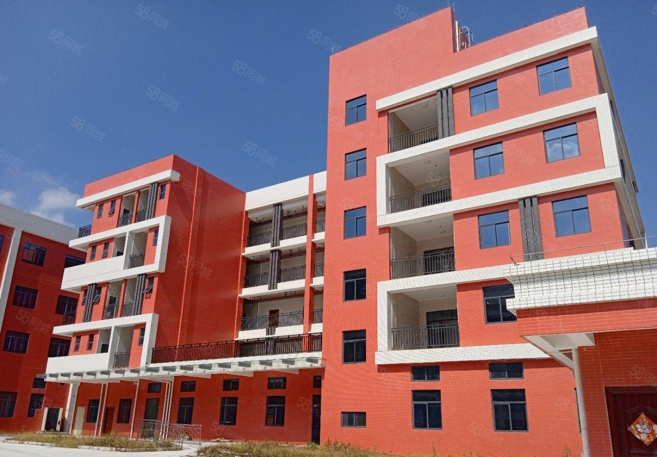 形象超好！一手自建全新红本独院厂房20000平米18块出租