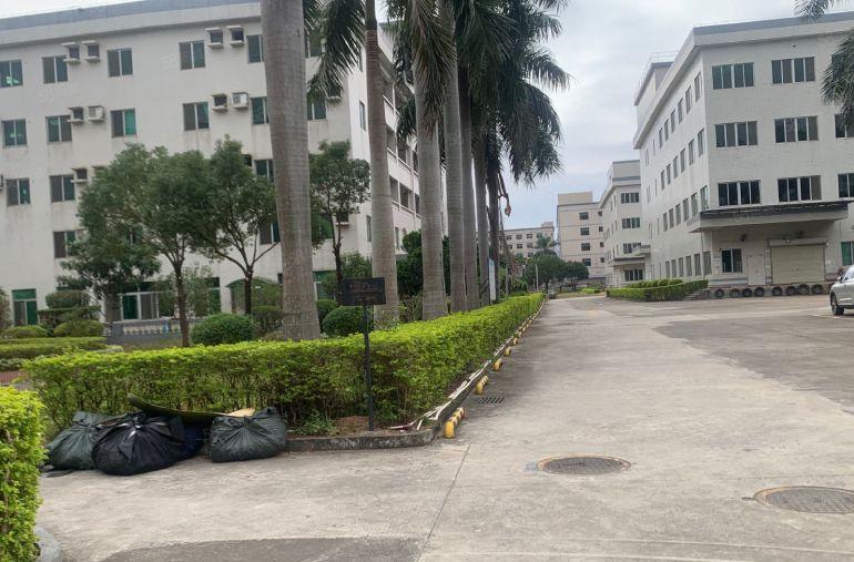 惠阳大亚湾独院30000平高6米原房东红本仓库厂房岀租500