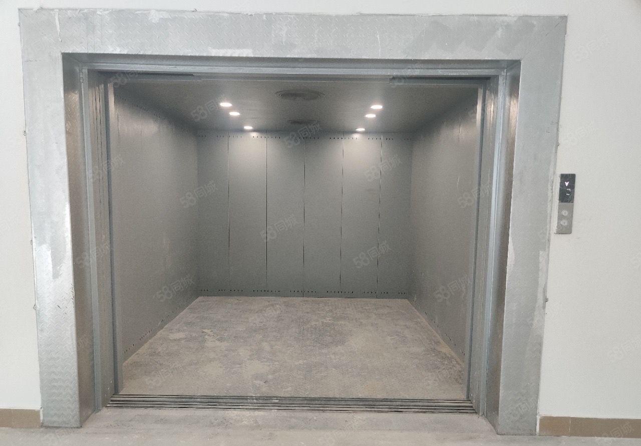 500平起分超大空地免费用大亚湾红本标准厂房30000平