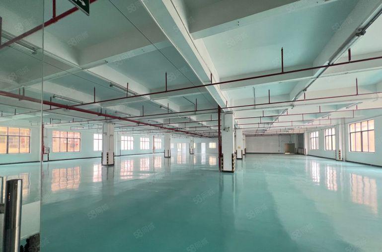 大亚湾新出楼上3000平米地坪漆厂房仓库低价出租大小可分租