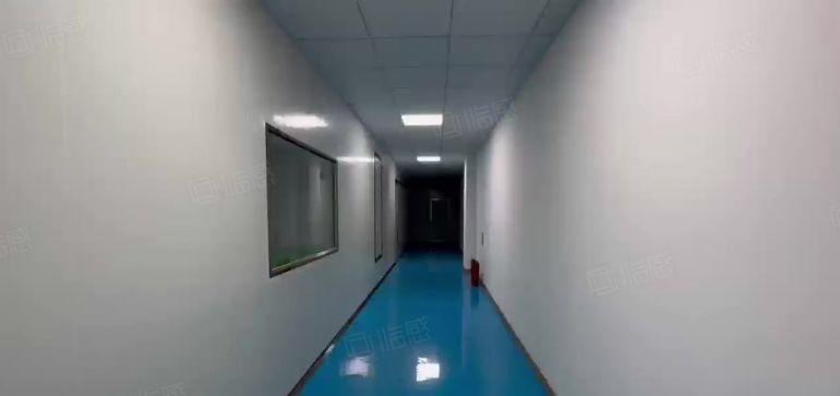 临深大亚湾楼上百级无尘车间厂房出租1100平