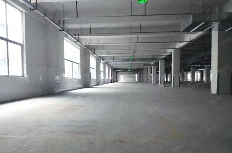 12块钱大亚湾西区楼上厂房，2009000