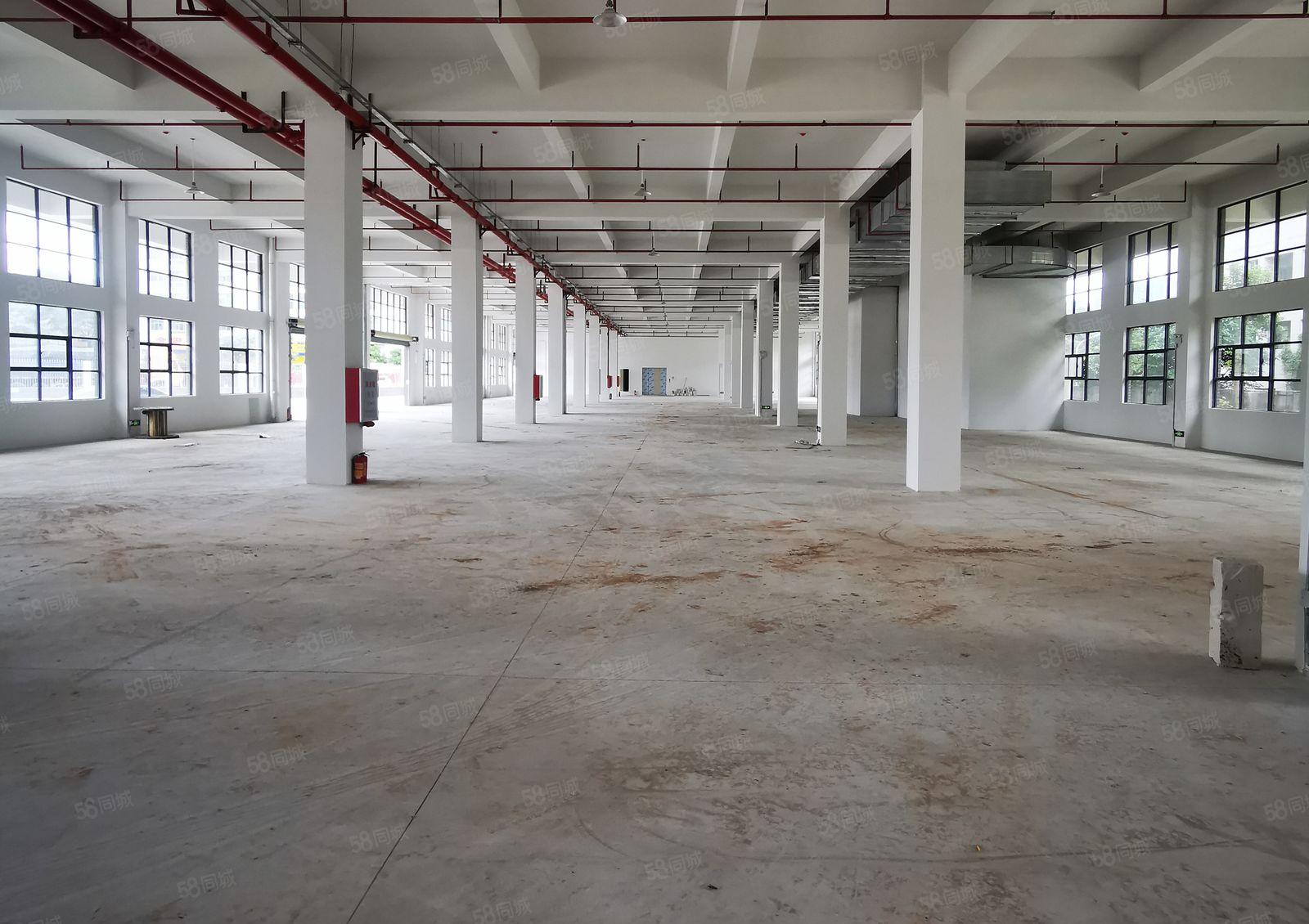 工业园厂区招租500平方起分租楼层随意选合同年限灵活！