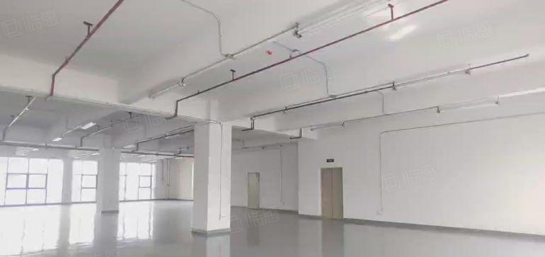 8块临深大亚湾楼上2700平厂房带精装修办公室出租，可分租