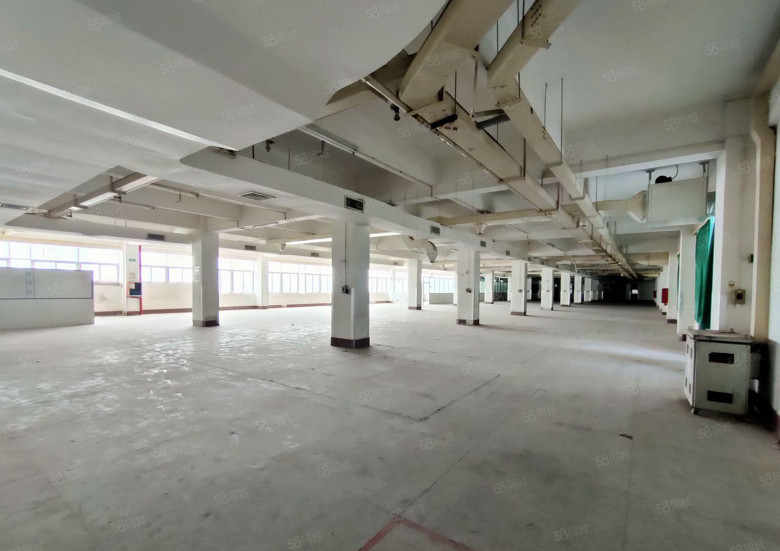 带装修800平起分租 一楼带行车 园区分租 形象好靠近高速