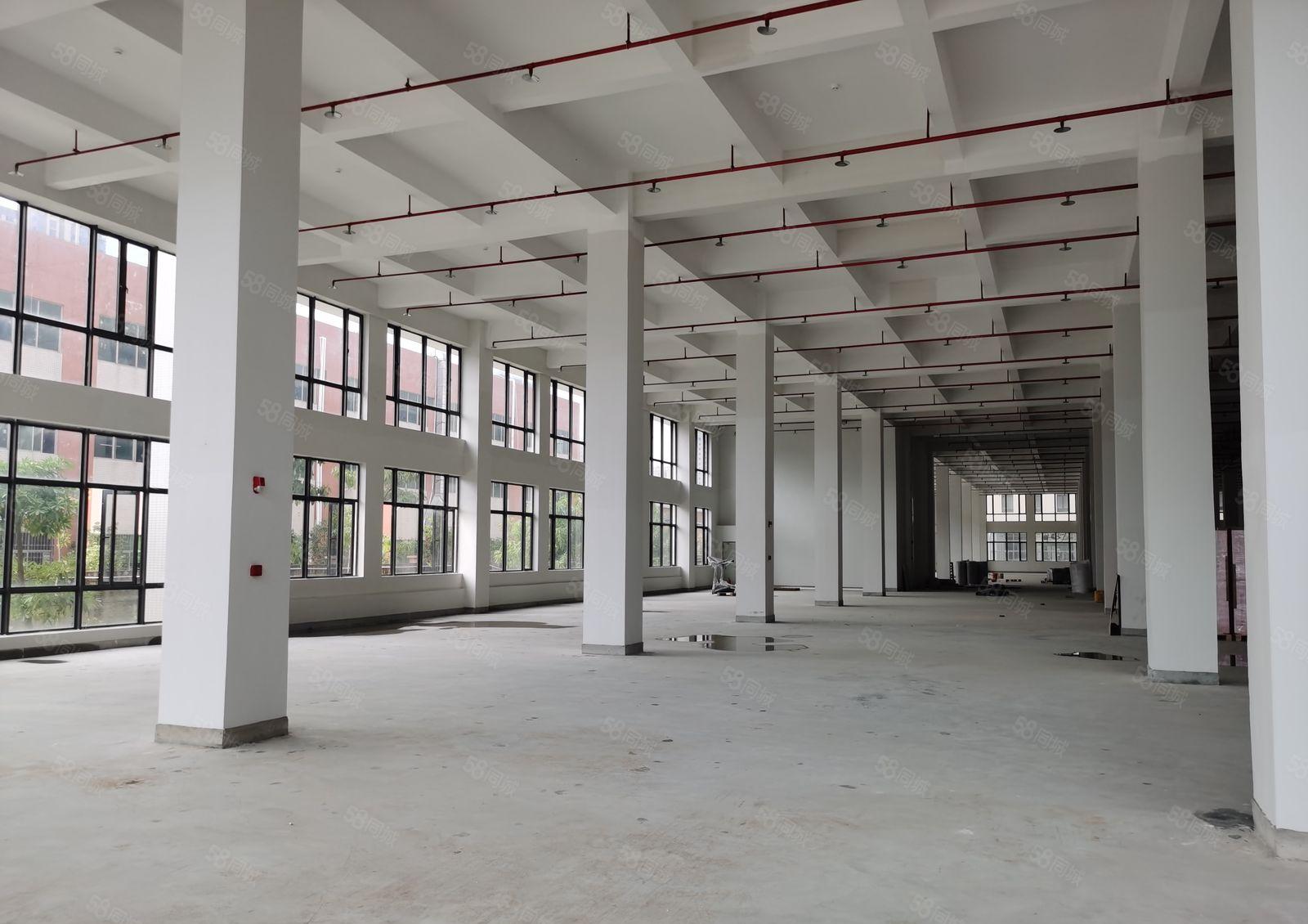 大亚湾区全新工业园标准厂房五万平米出租