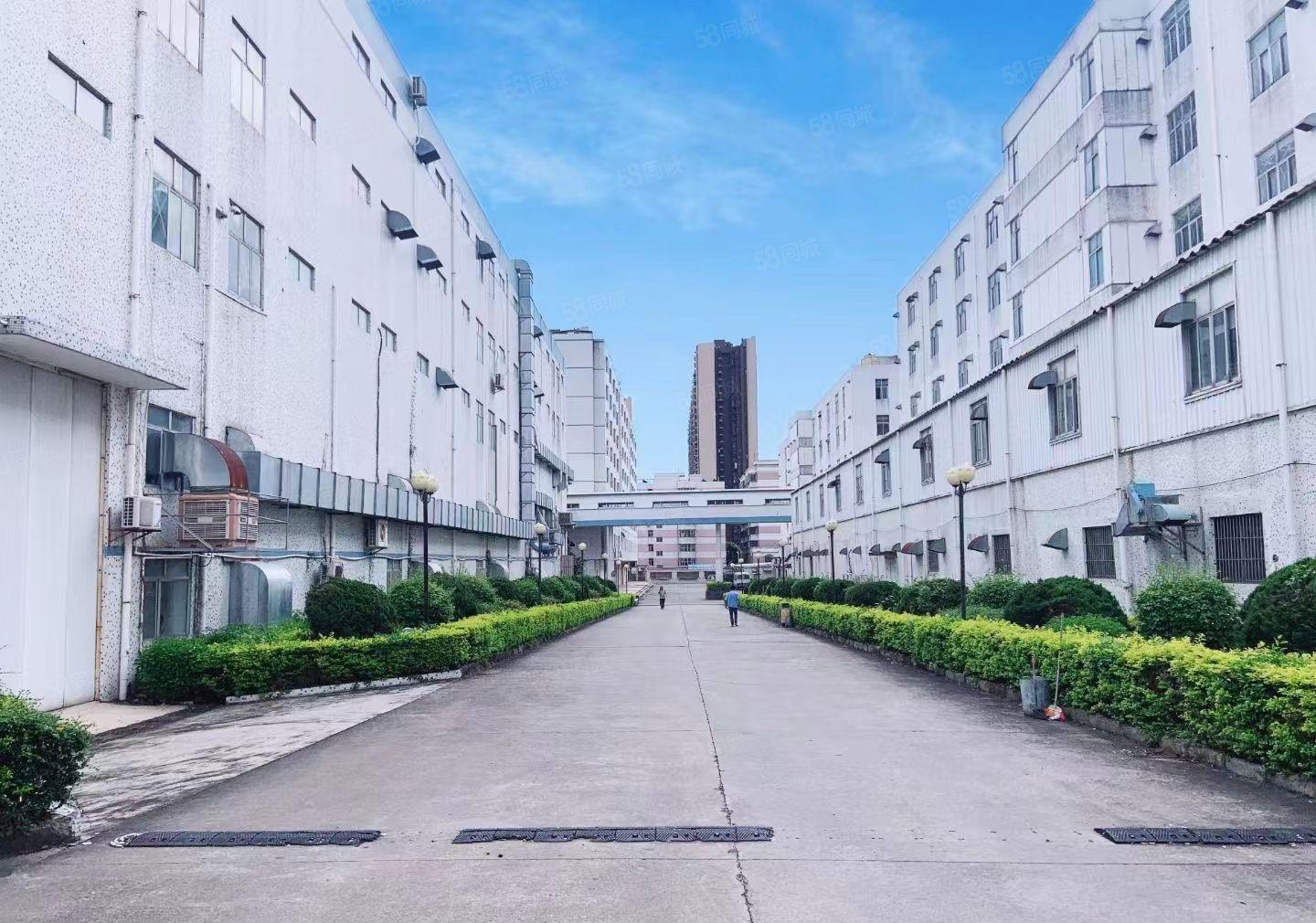 大亚湾可分割500平带地坪漆厂房14块出租