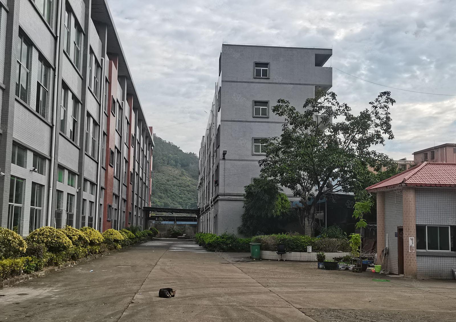 大亚湾塘布花园式独院厂房12000平 临深500米不靠居民区