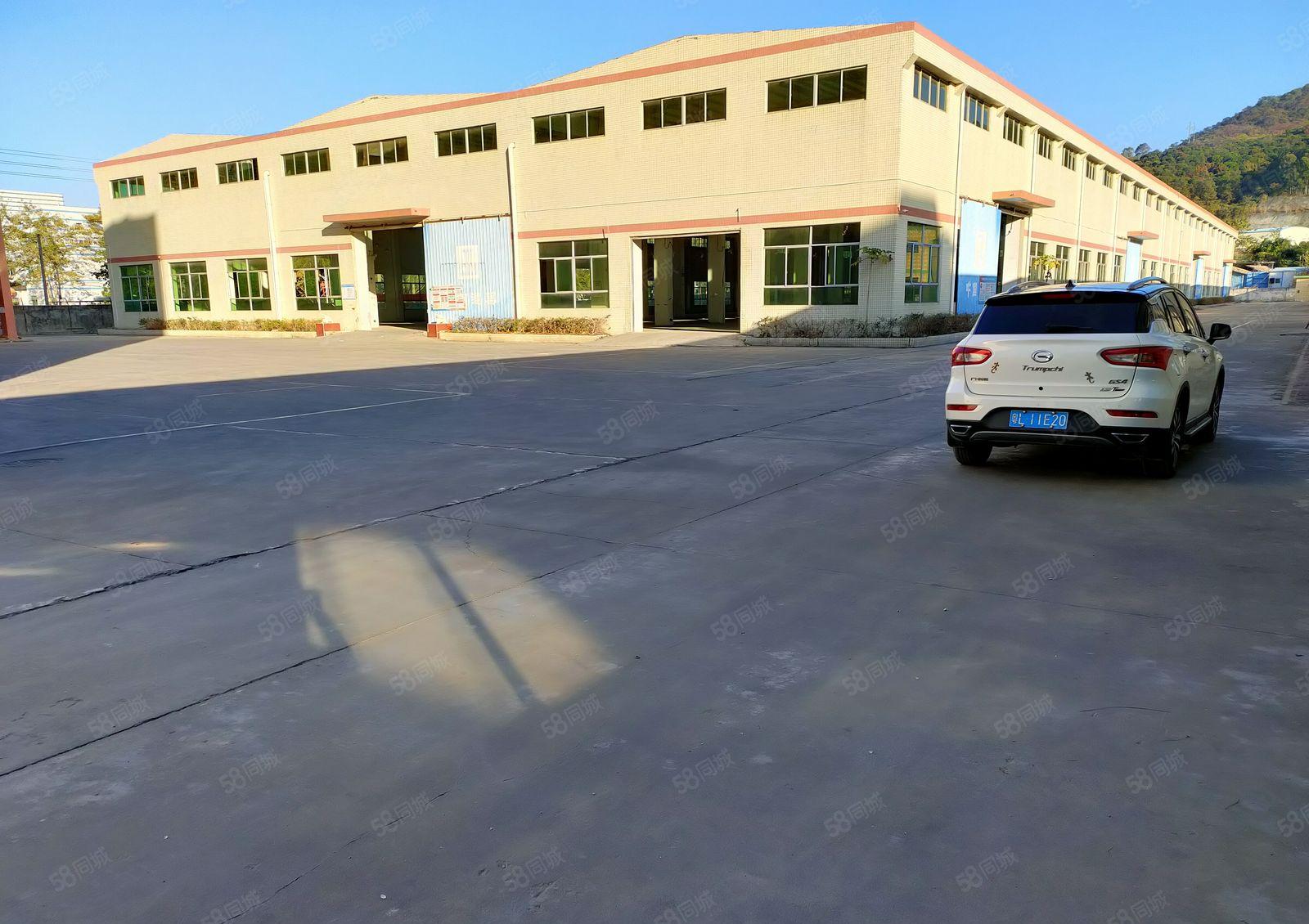 大亚湾10米高钢结构厂房出租，5000平方，可分租