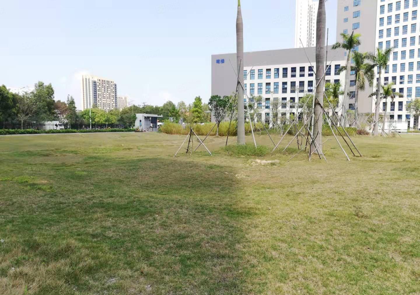 大亚湾西区原房东带装修500平方米厂房出租