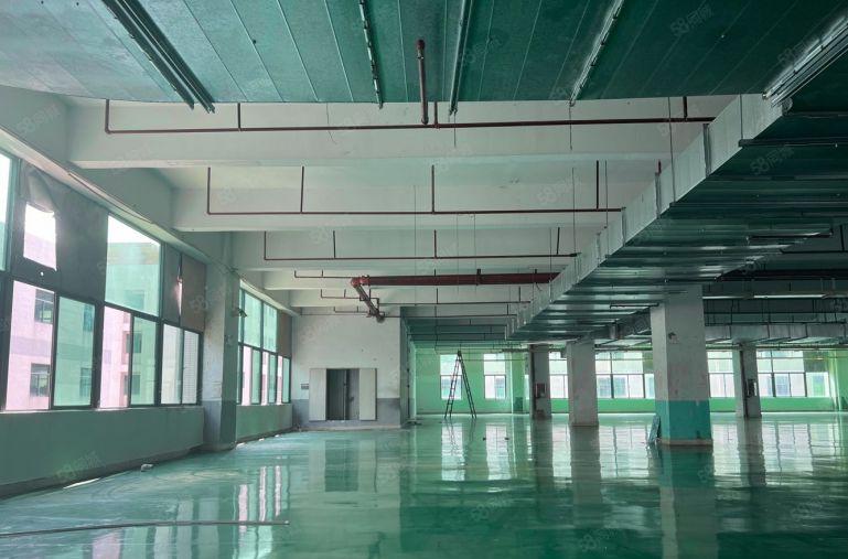 大亚湾新出楼上1000平厂房仓库带装修特价出租原房东无公摊