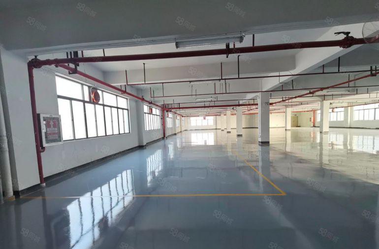 大亚湾全新厂房 大小可分租 包隔墙 园区形象好