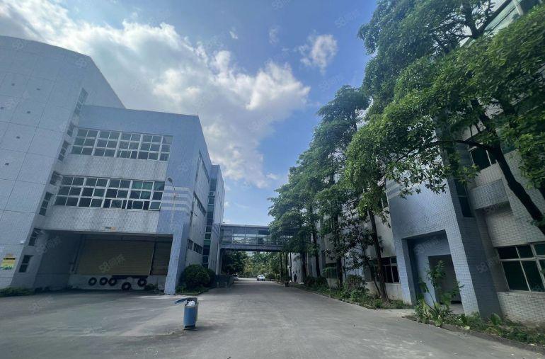 惠州大亚湾临深200米龙海二路园区厂房出租单价低至8元.