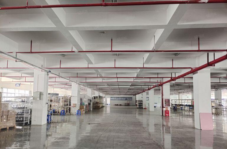 大亚湾西区原房东低价厂房仓库2500平出租，300平起分