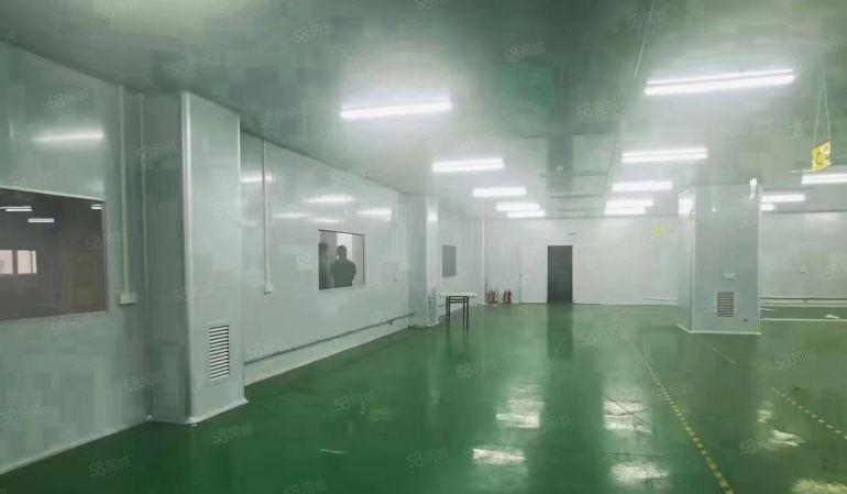大亚湾经济开发区新空出工业园标准无尘车间2150平米低价出租