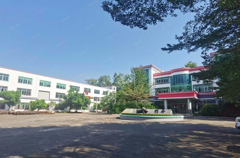 6元大亚湾西区原房东低价厂房仓库2500平出租，300平起分