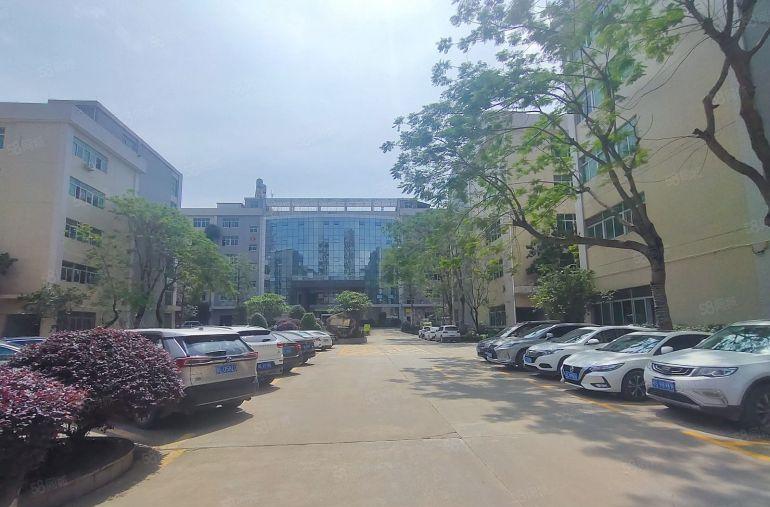 10元带装修大亚湾临近坑梓淡水秋长红本厂房带装修800平起租