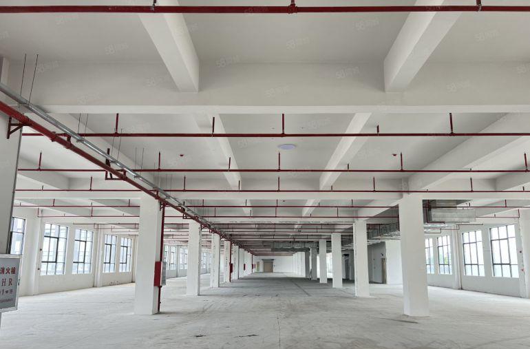 10元起租！大亚湾新出工业园3000平米厂房仓库低价出租可分