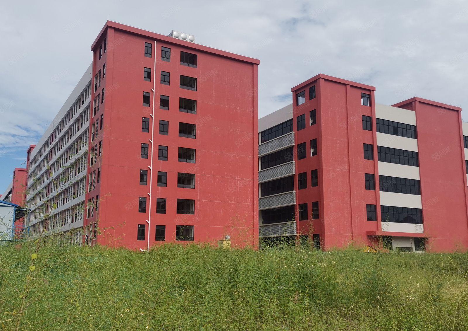 大亚湾原房东89000平米红本独院厂房低价招租