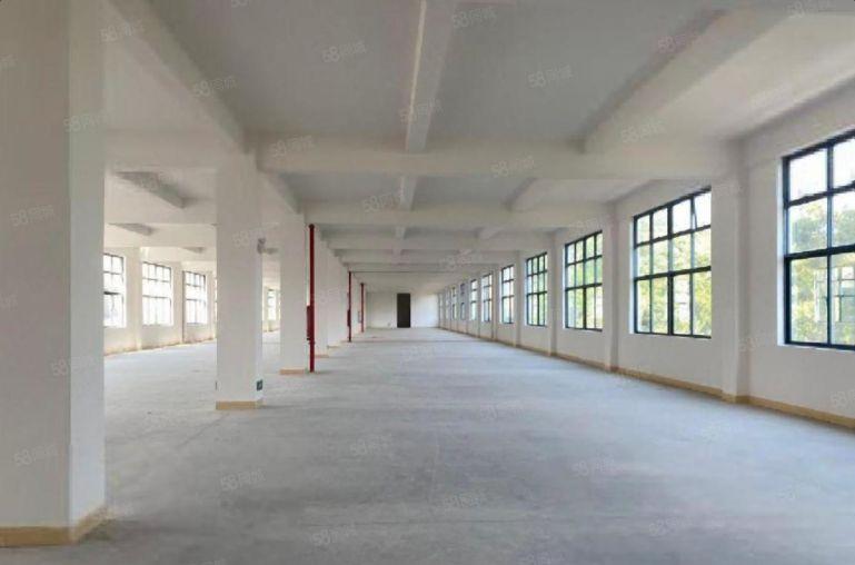 大亚湾原房东独门独院标准厂房500平起分租齐全好招工