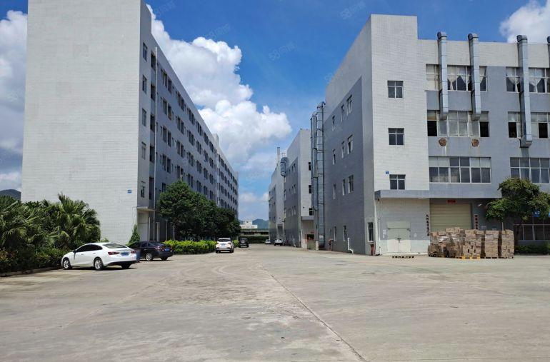 大亚湾西区带卸货平台原房东仓库厂房出租低价300平分租无公摊