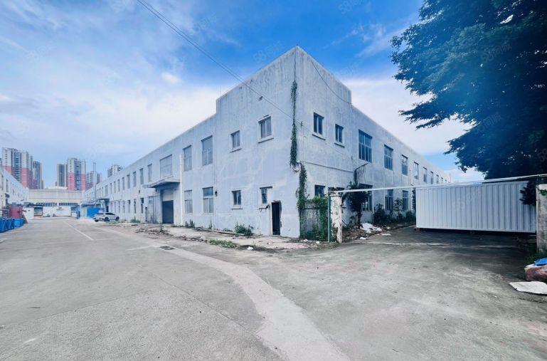 10块在大亚湾德州城旁租原房东实际面积滴水9米钢构厂房