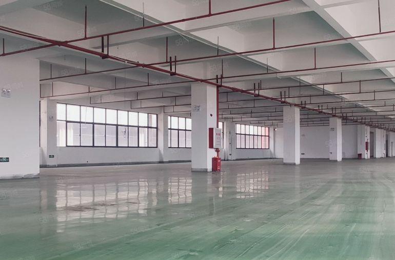 10元，大亚湾全新2000平原房东厂房仓库出租，形象靓可分租